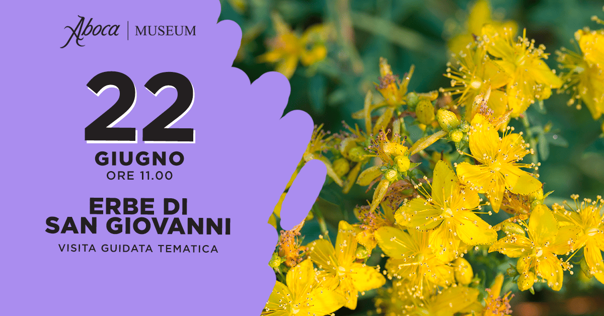 Erbe di San Giovanni - 22 giugno