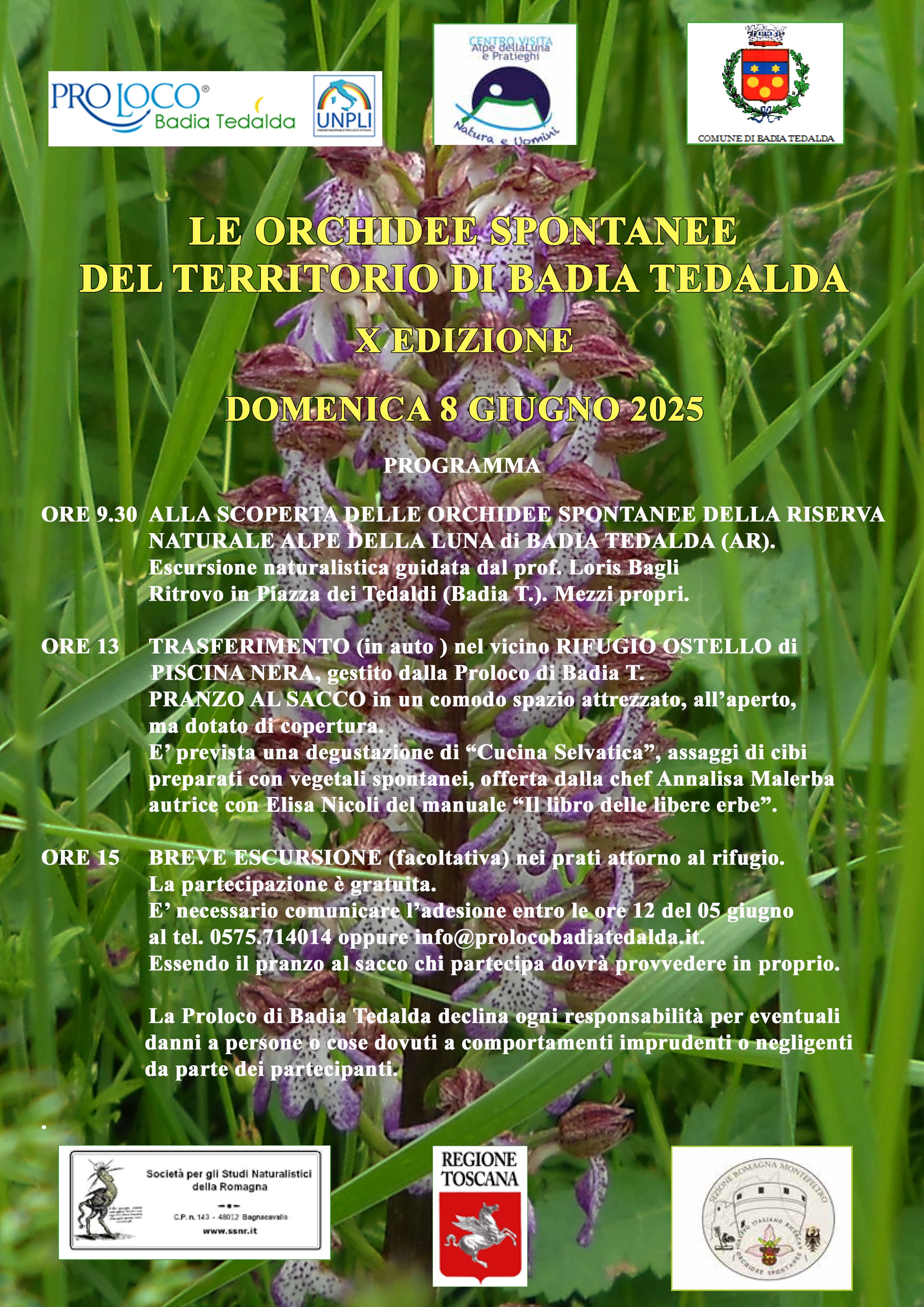 Orchidee Spontanee