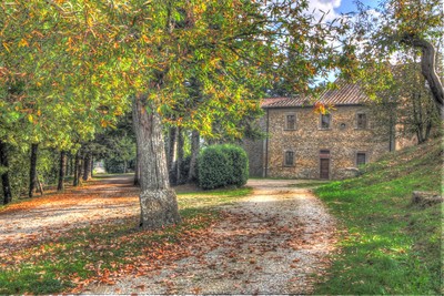 Via delle Terre Gialle