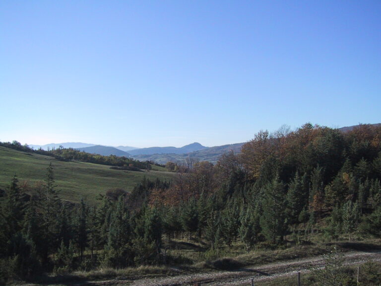 Poggio Rosso e "L'Acqua Puzza"